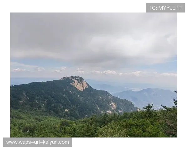 山东泰山整体节奏控制得非常精准